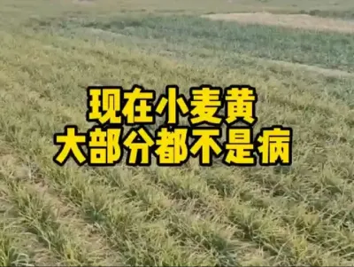 #农业人话农业 #抖音助农 #分享农业知识帮农民增产增收 #抖音助农 #传播农业小知识