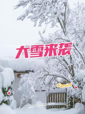 预报，大雪即将来袭 到哪里躲 下，跟老徐逛果园吧，别逗，冻死了，不可能，看看这蓝莓园就知道了。