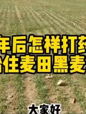 #抖音助农 #传播农业小知识 #分享农业知识帮农民增产增收 #农业人话农业