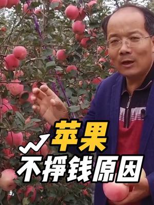 种苹果，不挣钱原因 好多，看看你占了几条#果园管理 #果树修剪 #2025