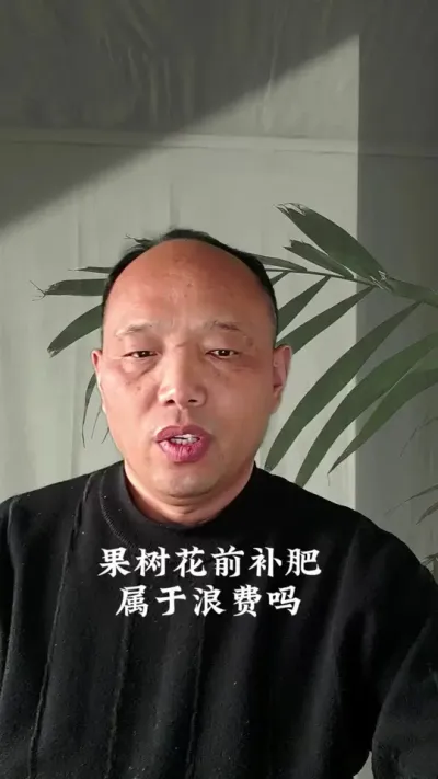 果树还没长叶子，花前叶面补肥有用吗#西梅种植#果树管理#农田行者#农田行者技术服务联盟