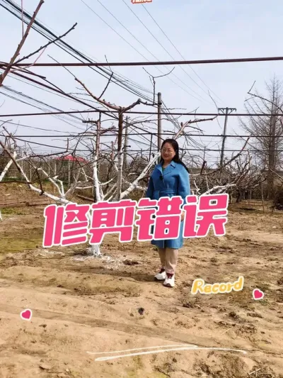 桃树修剪错误 看看花前复剪，干掉#果树修剪 #葡萄种植 #桃树管理