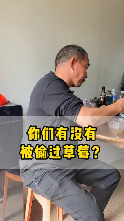 种了几十年草莓，每年都有人偷草莓，唯独今年没有哈哈哈#草莓 #偷草莓 #草莓采摘