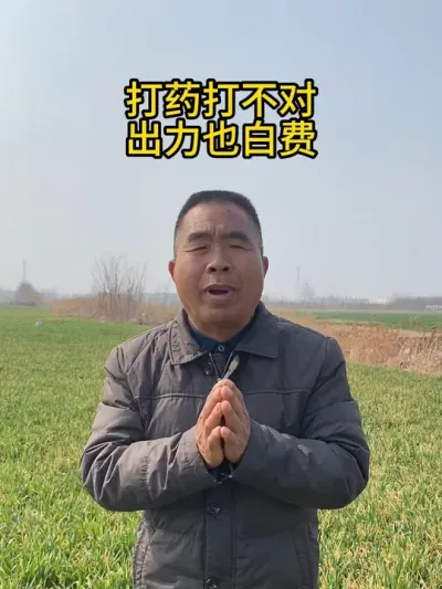 打药打不对出力也白费 #小麦 #小麦管理 #小麦种植技术 #三农 #服务三农支持三农