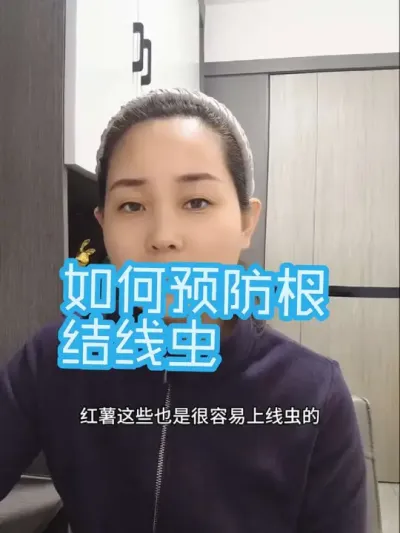 如何预防根结线虫，从我老师@植保达人 那学来的，拍个视频分享出来，希望能够帮到你们#根结线虫#病虫害防治 #农业种植#改良土壤