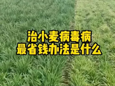 #抖音助农 #服务三农支持三农 #农业种植技术 #农业人话农业