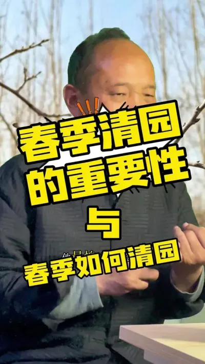 果园春季如何清园（精细指导篇）#果树清园#农田行者#农田行者技术服务联盟#西梅种植