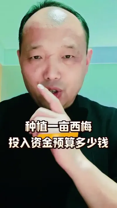 种植一亩西梅，从种到收需要投入多少钱？#西梅种植#农田行者#农田行者技术服务联盟