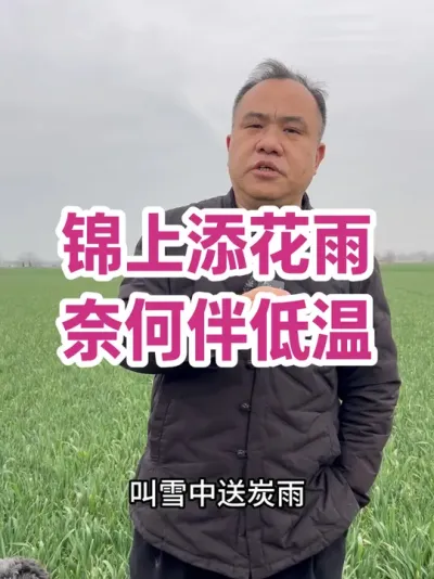 锦上添花雨 奈何伴低温 雨后首要事，预防倒春寒，重要事值得强调！#服务三农支持三农