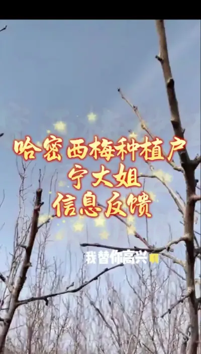 哈密宁姐传喜讯，今年花芽真喜人#西梅种植#农田行者#抖音助农 #农田行者技术服务联盟