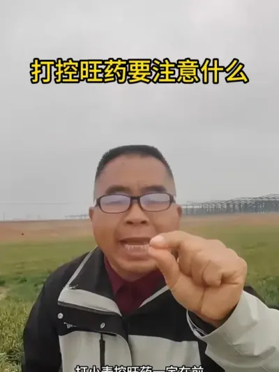 打控旺药要注意什么 #服务三农支持三农 #农业种植 #抖音助农扶农 #小麦 #植保知识