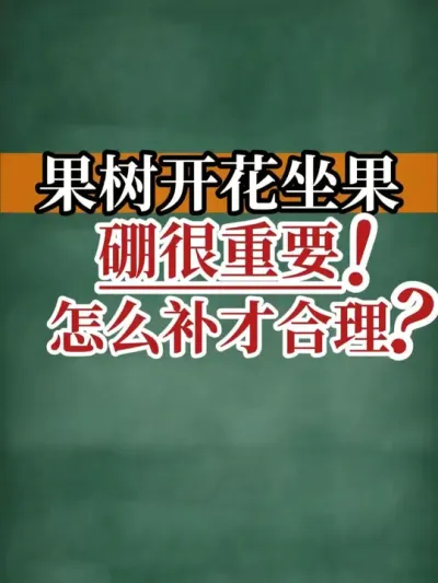 果树的开花坐果，硼很重要！怎么补才合理？ #硼肥 #新农人计划2025  #内容启发搜索 #农业种植