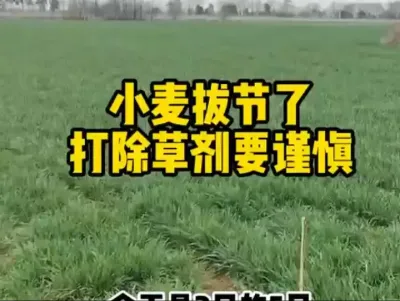 #抖音助农 #农业人话农业#现代农业机械