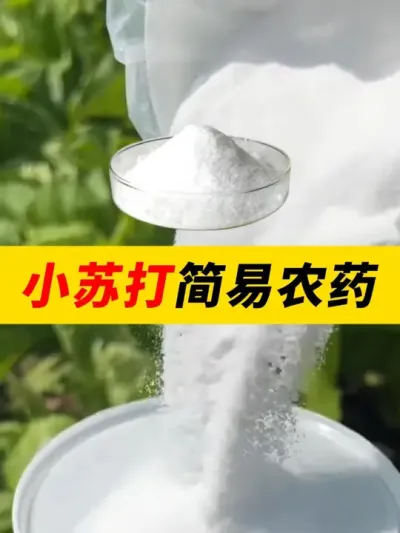 小苏打简易农药 #三农种植 #农业 #农业技术 #农药