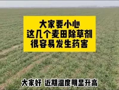 #传播农业小知识 #分享农业知识帮农民增产增收 #农业人话农业 #抖音助农 #增产增收才是硬道理