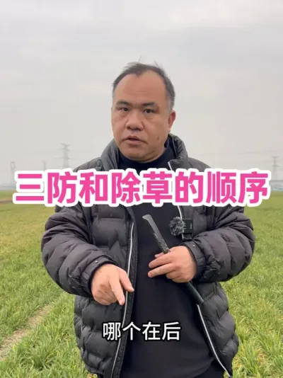 三防和除草的顺序 二者顺序坚决不能颠倒