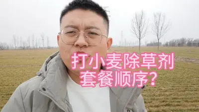小麦先打除草剂还是先喷施增产套餐？这个顺序千万别弄错了 