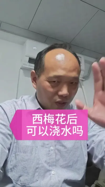 西梅花后适合浇水吗？#西梅种植#果树管理 #农田行者 #农田行者技术服务联盟