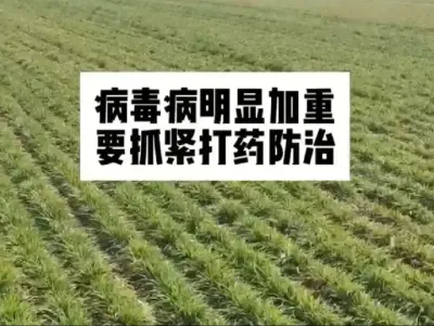 #抖音助农 #服务三农支持三农 #一份耕耘一份收获 #农业人话农业