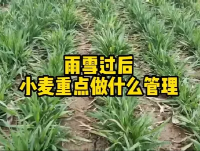 #农业人话农业 #抖音助农 #分享农业知识帮农民增产增收 #服务三农支持三农