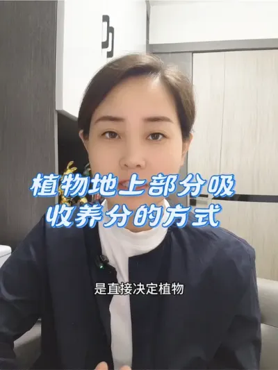 植物地上部分吸收养分的方式#农业种植#传播农业小知识 #土壤改良 #优质农产品