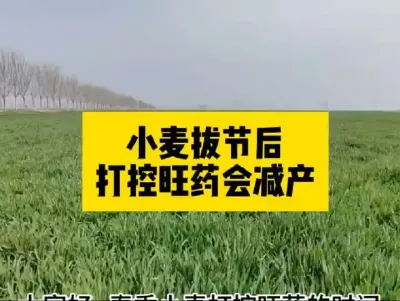 #抖音助农 #心系三农服务三农 #农业人话农业#田间地头就是我的舞台