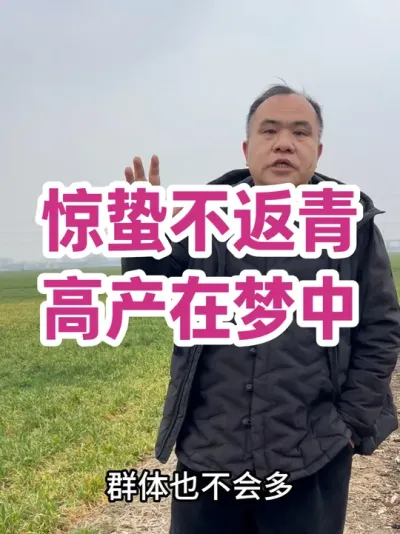 惊蛰不返青，高产在梦中 目前还没返青，群体和穗粒数都会相应减少。