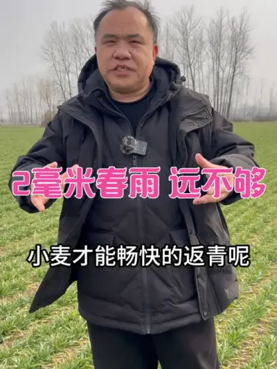 2毫米春雨 远不够 能浇返青水，可以浇了！#三农种植 #农业种植技术