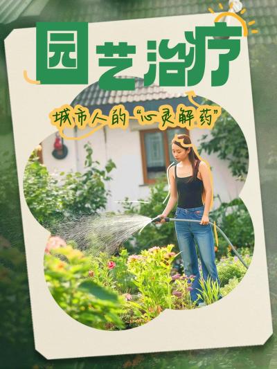 压力大到快崩溃时,你可以试试园艺疗愈自救