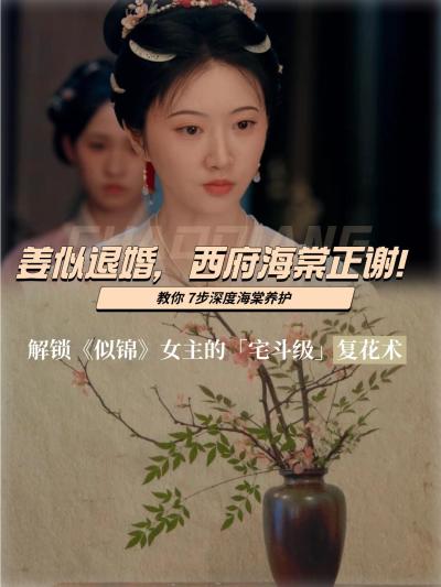 3 分钟 ✅《似锦》女主同款海棠养护术🌺