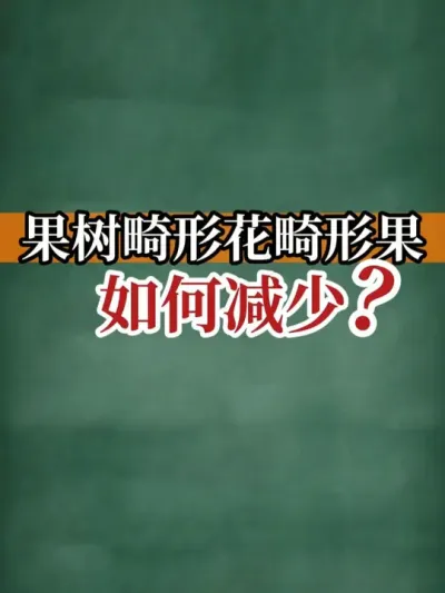 果树畸形花畸形果 如何减少？ #畸形花 #新农人计划2025  #支持三农扶持三农发展 #农业种植 #干货