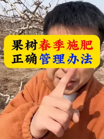果树春季施肥，正确管理办法#果树施肥#果树种植#果树管理#促花保果#果树种植管理