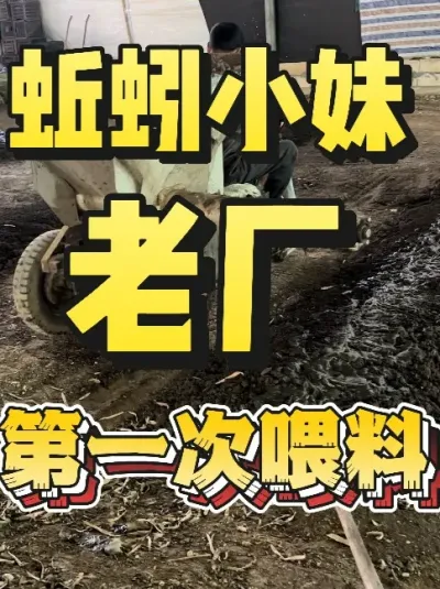 搅拌蚯蚓的食物喂蚯蚓#蚯蚓养殖 #三农 #农村创业