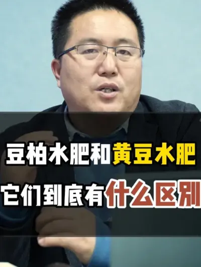 豆柏水肥 和黄豆水肥，到底有什么区别 #豆柏 #黄豆水肥 #水肥发酵 #发酵水肥 #农业种植