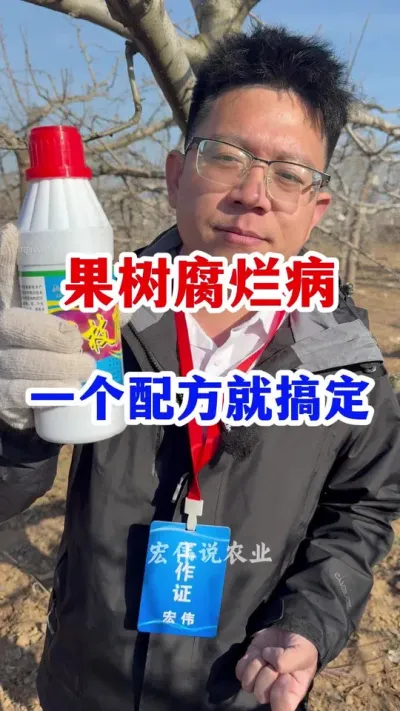果树腐烂病，一个配方就搞定。 #果树种植   #果园管理数据化 #果树腐烂病   #农业种植
