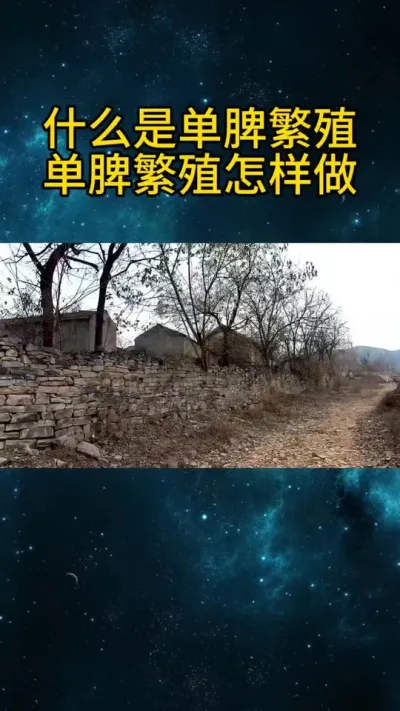 什么是单脾繁殖单脾繁殖怎样做 什么是单脾繁殖？
单脾繁殖怎样做。#养蜂技术分享 #养蜜蜂新手入门教程 #中蜂春繁 #农村养蜂人 #中蜂养殖