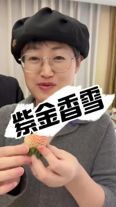 冯老师评价紫金香雪，草莓新品种 草莓新品种，白粉草莓的新宠儿#草莓种植 #草莓 #草莓熟了 #三农种植 #西北农林科技大学