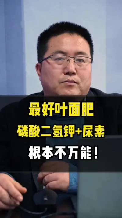 最好的叶面肥磷酸二氢钾+尿素，其实它不万能！ #磷酸二氢钾 #尿素 #叶面肥 #农业种植 #龙岳农科