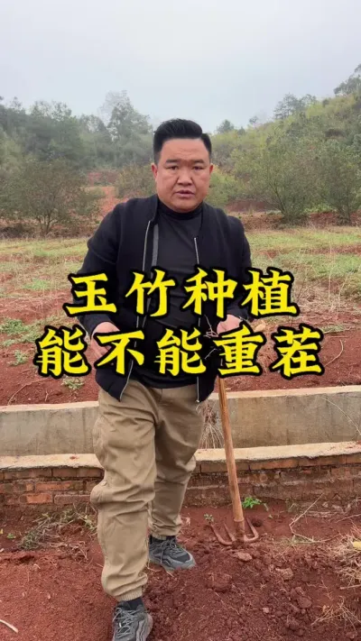 玉竹种植能不能重茬 #药材种植 #玉竹 #2024新农人计划 #种植小技巧 #中药材