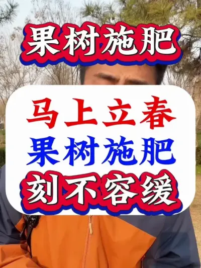 马上立春了！果树施肥刻不容缓！ #果树施肥 #促花保果 #花芽分化 #果树种植 #果树管理
