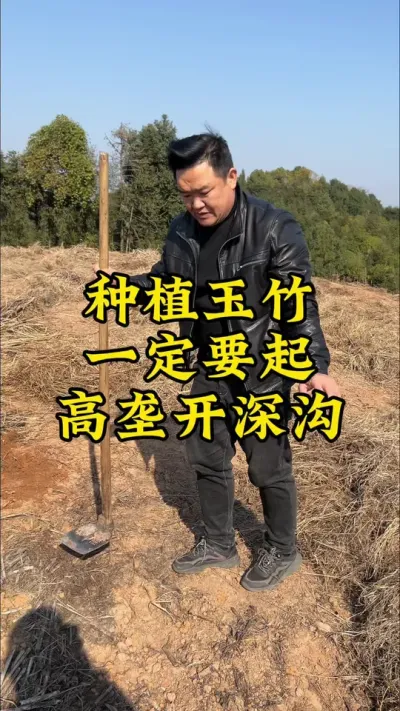 种植玉竹，一定要起高垄，开深沟！ #药材种植 #种植小技巧 #玉竹 #抖音助农 #2024新农人计划