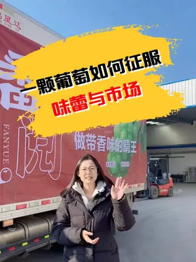 探秘阳光玫瑰 一颗葡萄如何征服味蕾与市场#农业种植 #阳光玫瑰葡萄介绍 #嘉兴水果