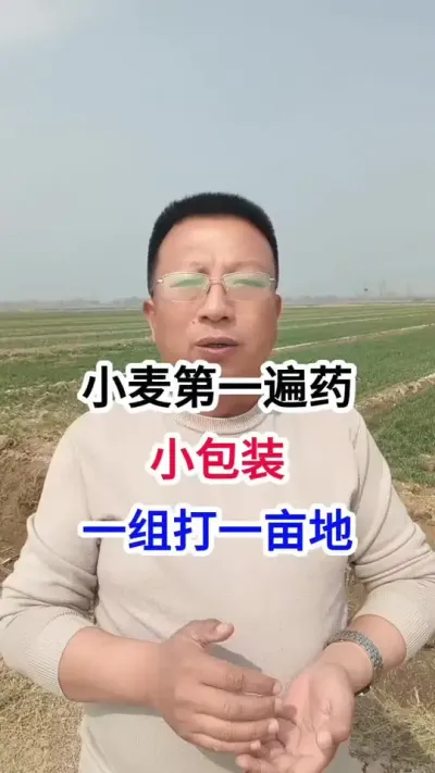 小麦第一遍药，小包装，一组一亩地 小麦第一遍药，小包装，一组一亩地#小麦种植 #小麦种植管理技术 #马哥聊农业 #小麦高产技术 #农技知识分享