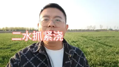 农民朋友，现在小麦二水抓紧浇吧！原因主要是这两个 
