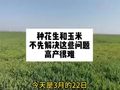 #一份耕耘一份收获 #抖音助农#原创视频 #农业人话农业