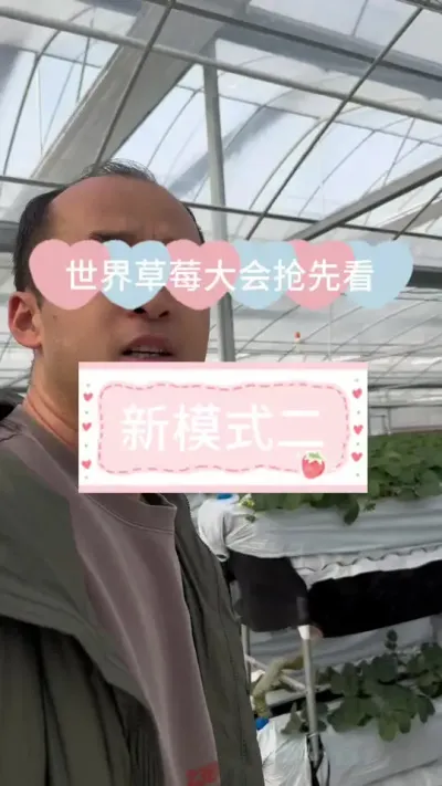 世界草莓大会抢先看 超高双层H架#草莓种植 #2024新农人计划 #种草莓 #草莓 #病虫害防治