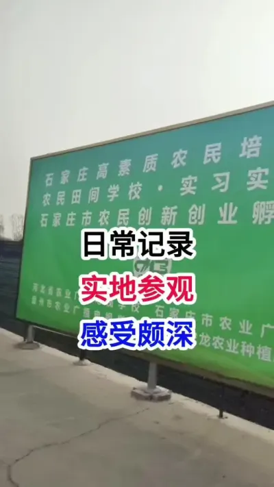 日常记录，实地参观，感触颇深 日常记录，实地参观，感触颇深#小麦种植 #小麦种植管理技术 #马哥聊农业 #小麦高产技术 #农技知识分享
