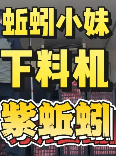 江西萍乡学员扩建场地，新加一台下料机和紫蚯蚓#蚯蚓养殖 #三农 #农村创业