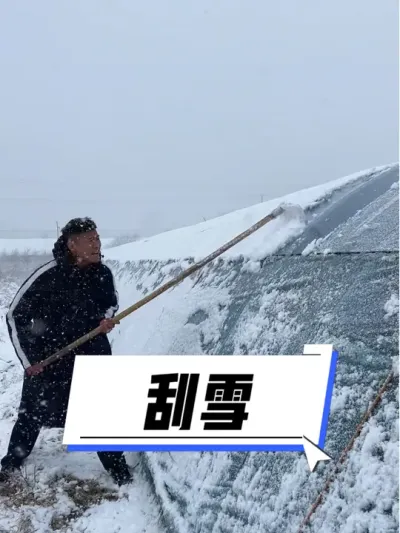种草莓千万不能偷懒啊 #我的乡村生活 #三农 #新农人计划2024 #乡村守护人