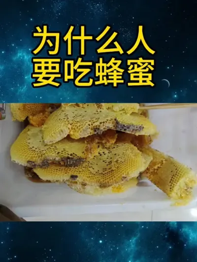 为什么人要吃蜂蜜 #纯天然野生蜂蜜 #纯天然无添加 #百花蜜 #农村养蜂人 #蜂巢蜜嚼着吃
